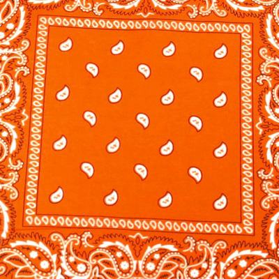 Zac's Alter Ego - Paisley Bandana - Orange/Blanc